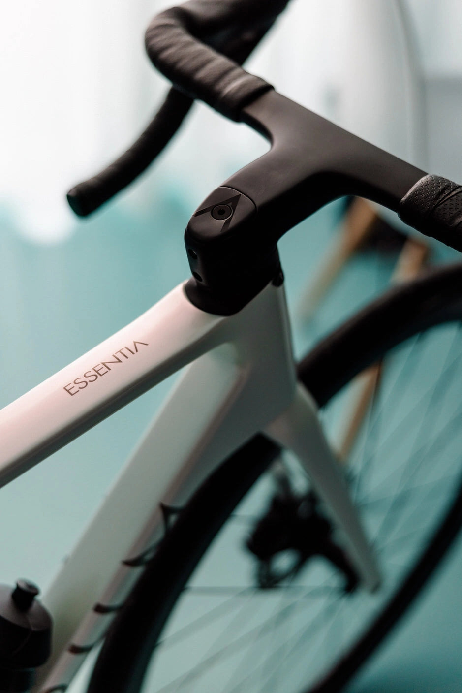 EXPERIENCE CARBON TECHNOLOGY